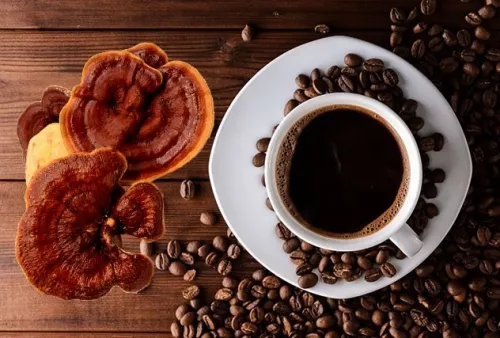 گانودرما چیست و قهوه چگونه تهیه می شود؟