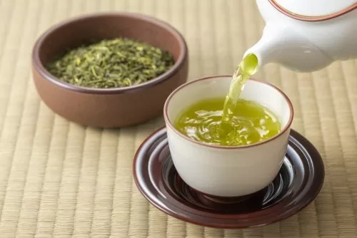 فواید و خواص چای سبز برای لاغری 